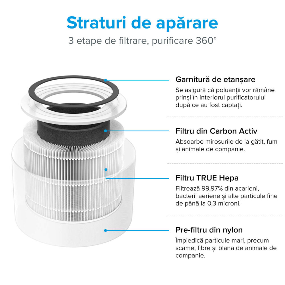 Filtru True HEPA