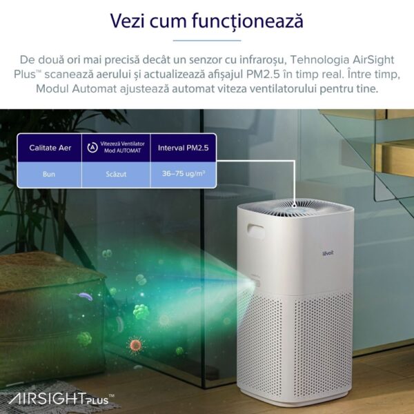 Google Home